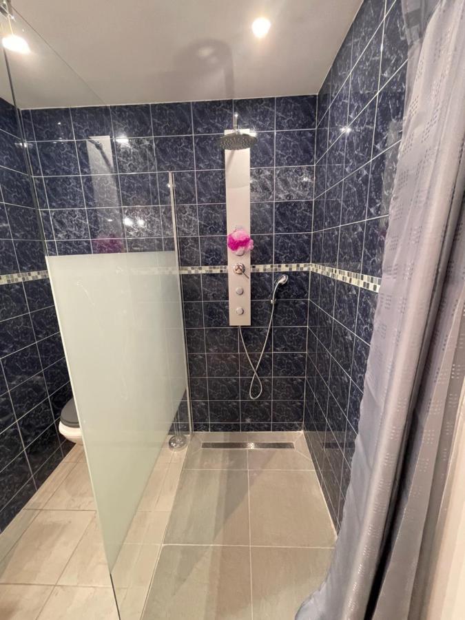 Aparthotel Studio 23 M2+Wifi +Parking Prive Oullins Exterior foto